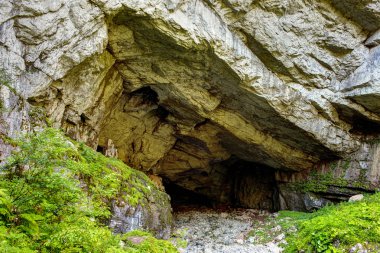 Coiba mare mağara apuseni Dağları