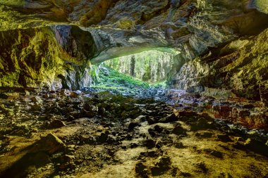 coiba mare Mağaranın içinden görüntüleyin