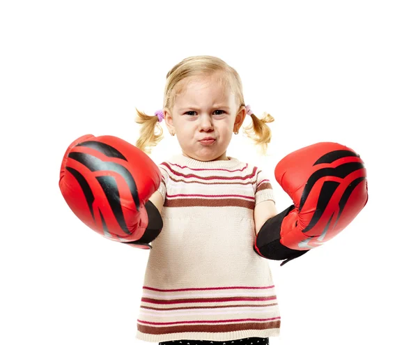 Pequeño boxeador — Foto de Stock