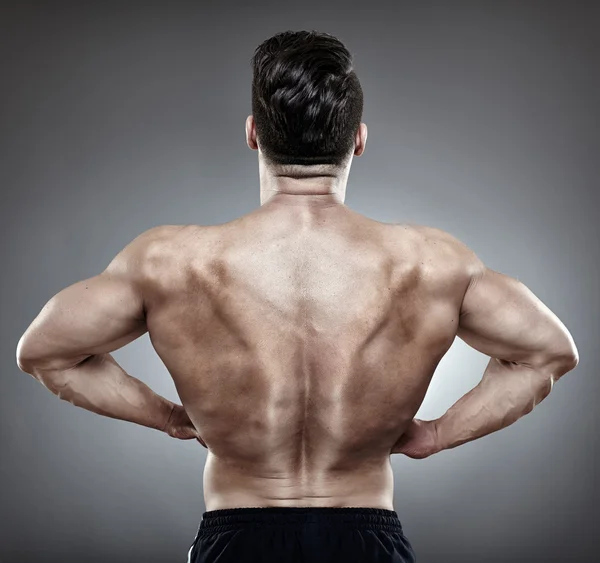 Bodybuilder back — Stock Photo, Image