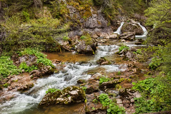 Река Апушень — стоковое фото