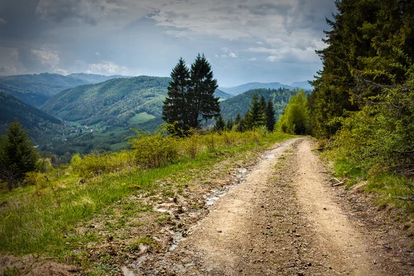 Alpine Landschaft — Stockfoto