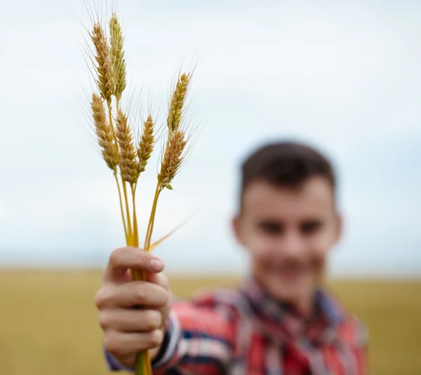 Teenage boy in a wheat field — Stock Photo, Image