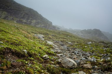 puslu dağlar ve hiking trail