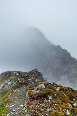 puslu dağlar ve hiking trail