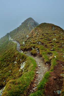 puslu dağlar ve hiking trail
