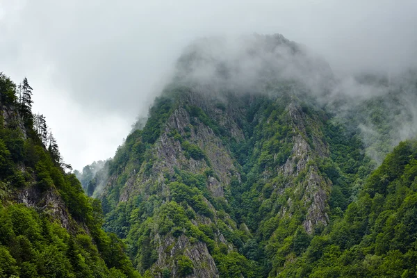 Misty mountains — Stock Photo, Image