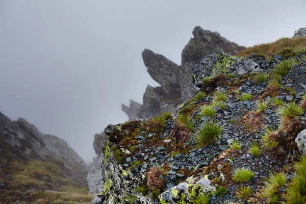 Dimmiga bergen — Stockfoto