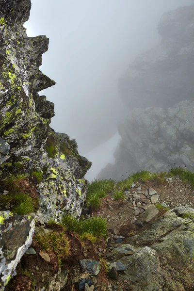 Nebelberge — Stockfoto