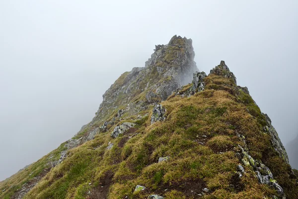 Nebelberge — Stockfoto