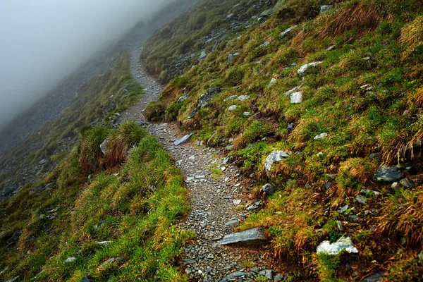 Misty mountains and hiking trail — Stock Photo, Image