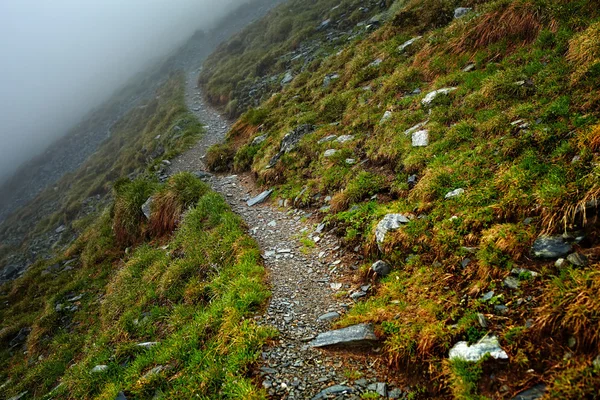 Mistige bergen en wandelpad — Stockfoto