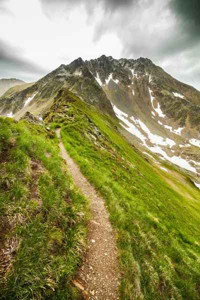 Sentiero escursionistico sulle montagne rumene — Foto Stock