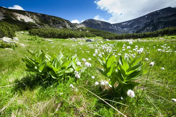 Montanhas parang — Fotografia de Stock