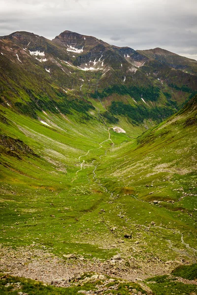 Wandelpad in de Roemeense bergen Stockfoto