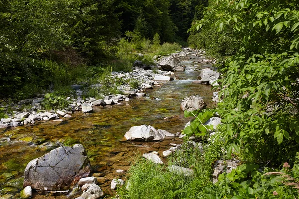 Latoritei river — Stock Photo, Image