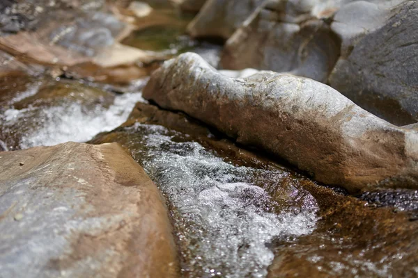 Fluss mit selektivem Fokus — Stockfoto