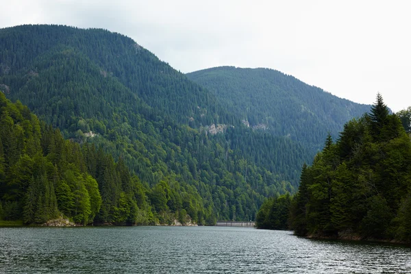 Lac Petrimanu en Roumanie — Photo