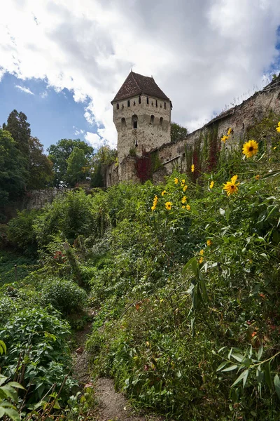 Sighisoara Ρουμανια Σεπτεμβριου 2021 Εικόνες Μοναδική Κατοικημένη Μεσαιωνική Ακρόπολη Στην — Φωτογραφία Αρχείου