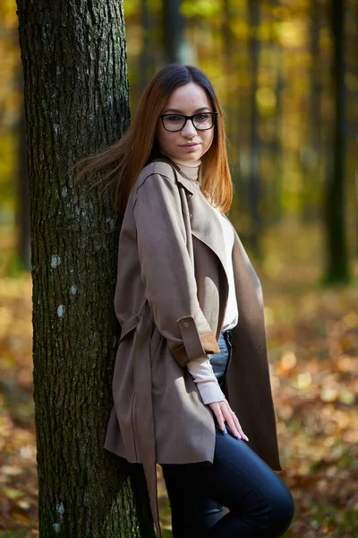 Portrait Young Attractive Caucasian Woman Oak Forest Autumn — Stock Photo, Image