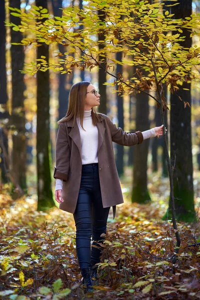 Retrato Una Joven Atractiva Mujer Caucásica Bosque Robles Durante Otoño — Foto de Stock