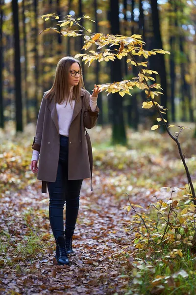 Portret Młodej Atrakcyjnej Białej Kobiety Dębowym Lesie Jesienią Obraz Stockowy