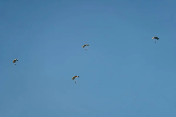 Gruppo Paracadutisti Sportivi Che Scivolano Sul Cielo Rotta Verso Atterraggio — Foto Stock