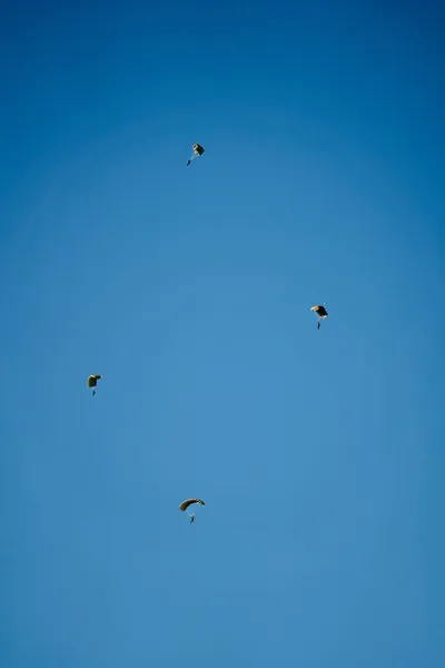 Grupo Saltadores Paracaídas Deportivos Que Deslizan Por Cielo Rumbo Aterrizaje — Foto de Stock
