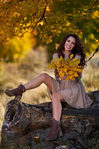Beautiful Elegant Young Woman Posing Outdoor Fall Vibrant Colors Stump — Stock Photo, Image