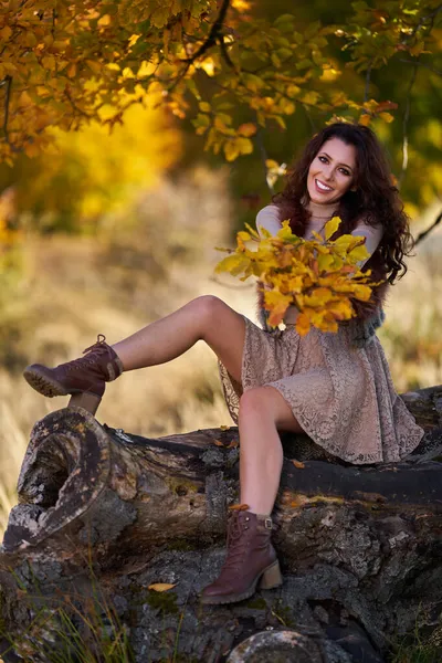 美しいですエレガントな若い女性のポーズ屋外では秋の鮮やかな色で古い木の切り株 — ストック写真