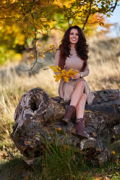 Beautiful Elegant Young Woman Posing Outdoor Fall Vibrant Colors Stump — Stock Photo, Image