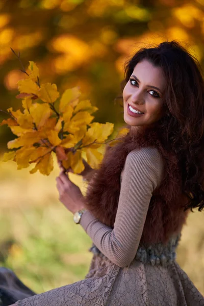 Schöne Elegante Junge Frau Posiert Draußen Herbst Leuchtenden Farben Stumpf — Stockfoto