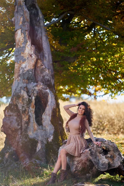 美しいですエレガントな若い女性のポーズ屋外では秋の鮮やかな色で古い木の切り株 — ストック写真