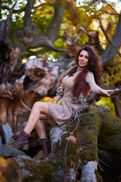 Modelo Feminino Lindo Posando Uma Árvore Centenária Quebrada Nas Cores — Fotografia de Stock