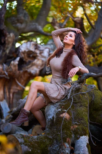 Superbe Modèle Féminin Posant Sur Arbre Centenaire Cassé Aux Couleurs — Photo