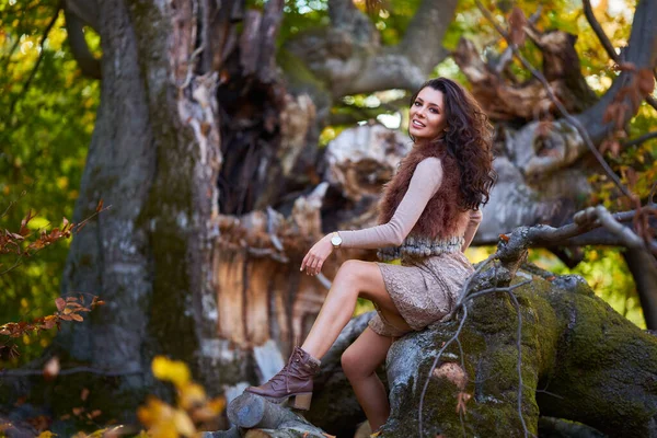 Wspaniała Kobieta Model Pozowanie Złamanym Stuleciu Drzewa Jesiennych Kolorach — Zdjęcie stockowe
