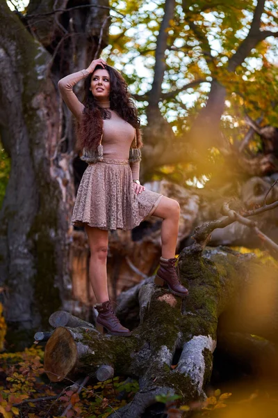 Wunderschönes Weibliches Model Posiert Auf Einem Kaputten Hundertjährigen Baum Herbstfarben — Stockfoto
