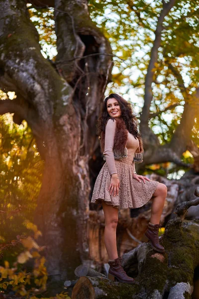 Preciosa Modelo Femenina Posando Sobre Árbol Centenario Roto Colores Otoñales —  Fotos de Stock