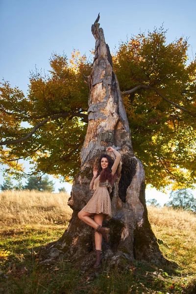 美丽优雅的年轻女子 在秋天的树桩旁 站在户外 五彩缤纷 五彩斑斓 — 图库照片