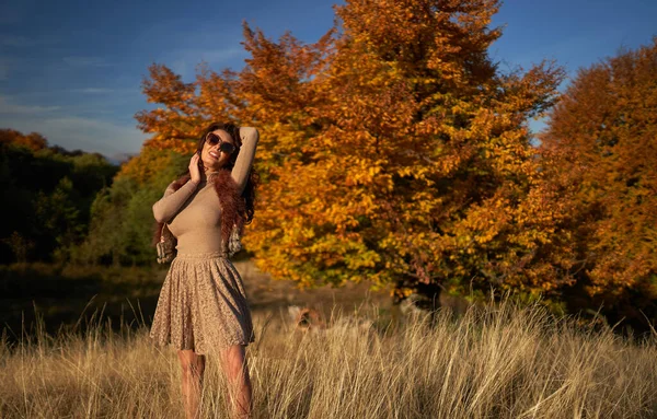 Ormanın Sonbahar Renklerinde Gün Batımında Güzel Genç Bir Kadın — Stok fotoğraf