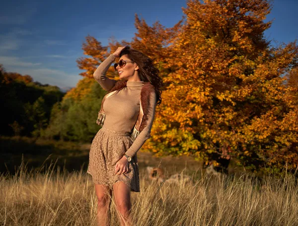 Красива Молода Жінка Заході Сонця Осінні Кольори Біля Лісу — стокове фото