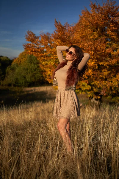 Красивая Молодая Женщина Закате Осенью Цвета Леса — стоковое фото