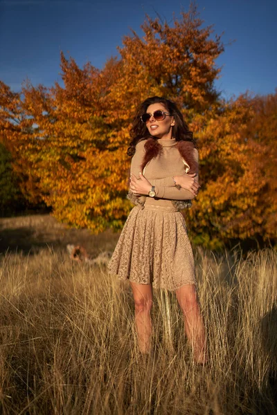 Mooie Jonge Vrouw Bij Zonsondergang Herfstkleuren Door Het Bos — Stockfoto