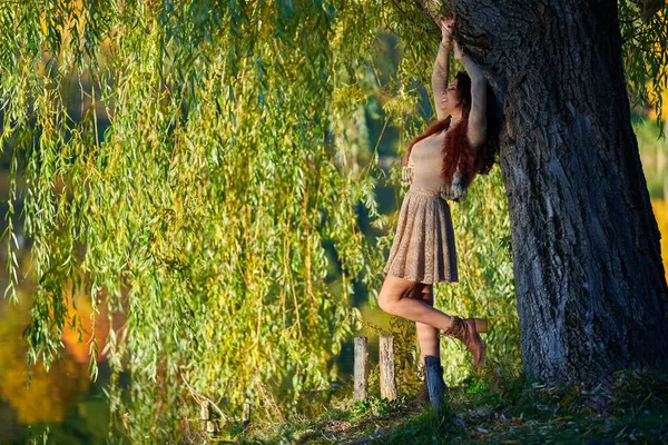 Красивая Кавказская Женщина Озера Рядом Ива Осенний Портрет — стоковое фото