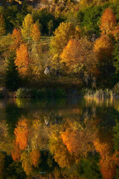 Outono Lago Com Floresta Colorida Refletindo Água Pôr Sol — Fotografia de Stock