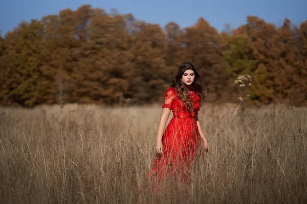 11月の肖像画オークの森の牧草地で赤いドレスの女性 — ストック写真