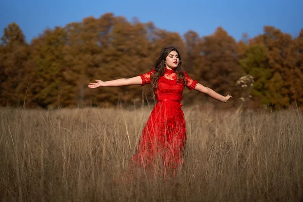11月の肖像画オークの森の牧草地で赤いドレスの女性 — ストック写真