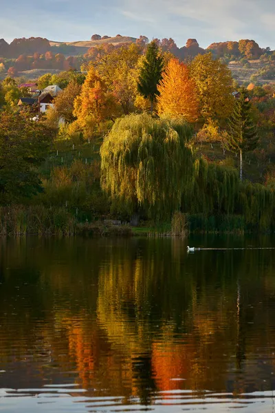 Outono Lago Com Floresta Colorida Refletindo Água Pôr Sol — Fotografia de Stock