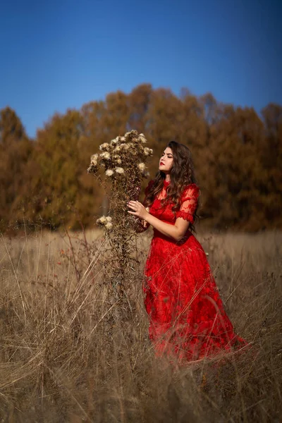 Γυναίκα Κόκκινο Φόρεμα Ένα Λιβάδι Δίπλα Στο Δάσος Βελανιδιάς Πορτρέτο — Φωτογραφία Αρχείου