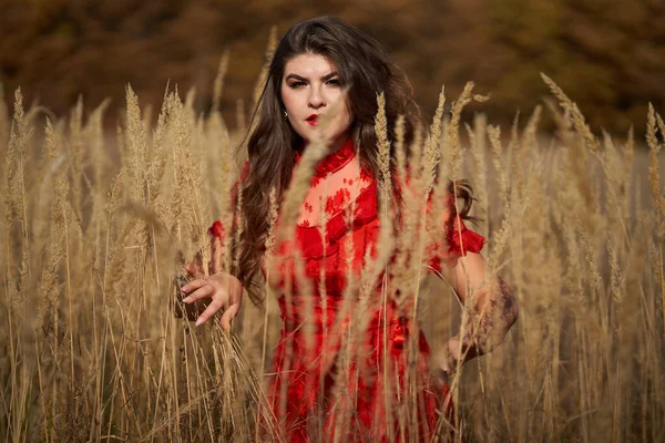 Mulher Vestido Vermelho Prado Perto Floresta Carvalho Retrato Novembro — Fotografia de Stock